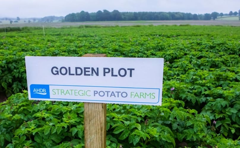 AHDB Potatoes coordinated funding for blight and aphid monitoring AHDB Potatoes coordinated funding for blight and aphid monitoring