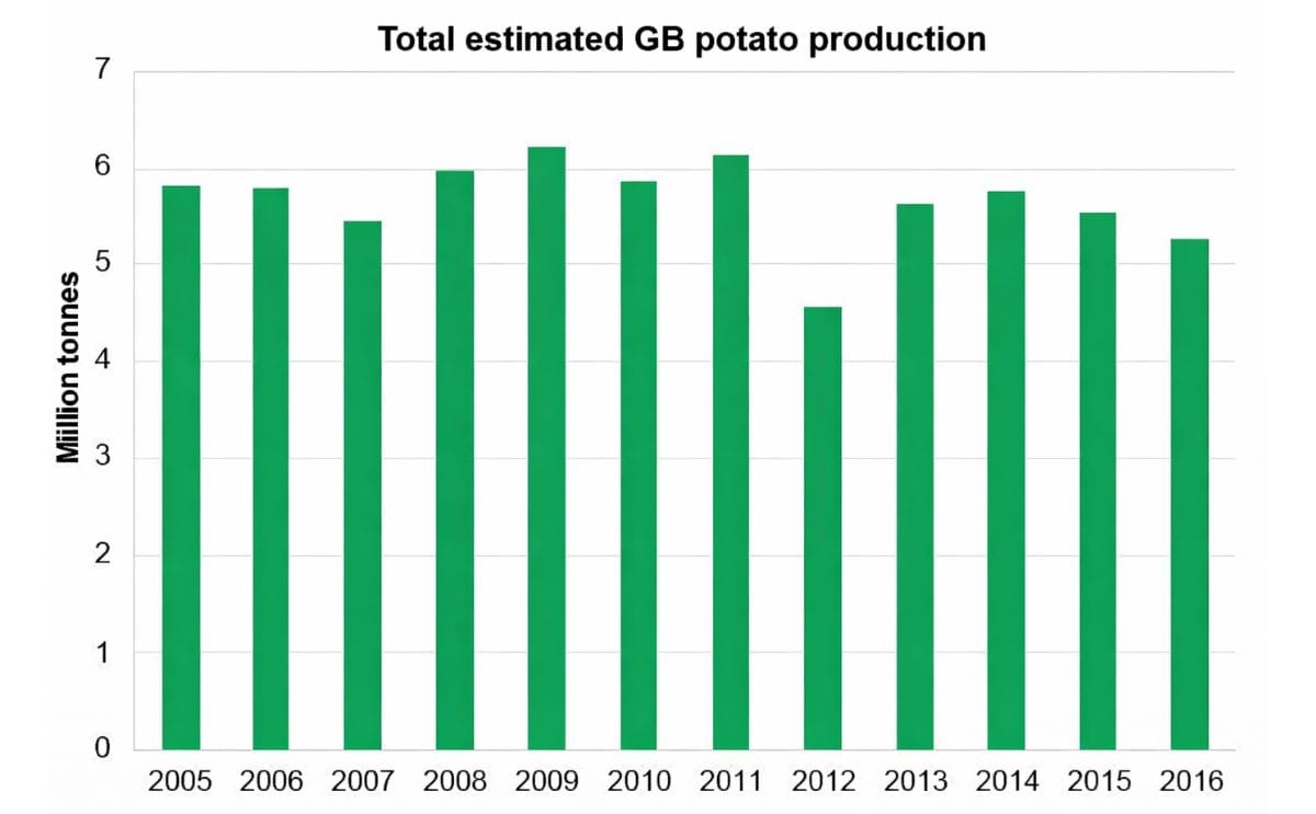 2016 GB potato production estimated down 5% at 5.22 million tonnes