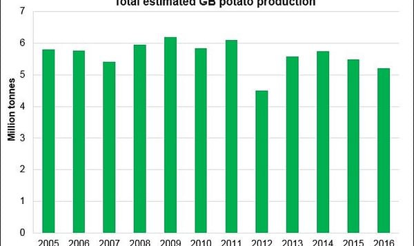 2016 GB potato production estimated down 5% at 5.22 million tonnes