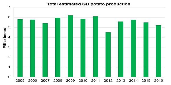 2016 GB potato production estimated down 5% at 5.22 million tonnes