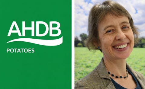 Sophie Churchill OBE appointed as Chair of AHDB Potatoes. Sophie Churchill OBE appointed as Chair of AHDB Potatoes.