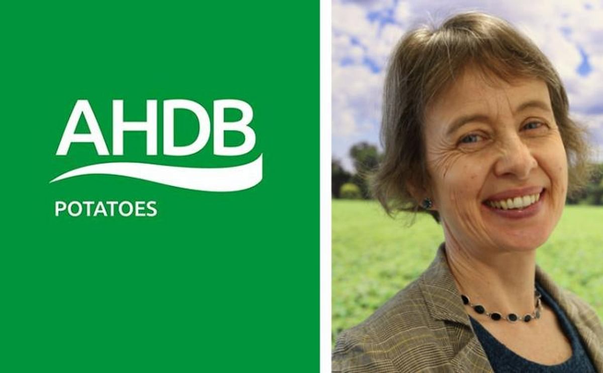 Sophie Churchill OBE appointed as Chair of AHDB Potatoes.