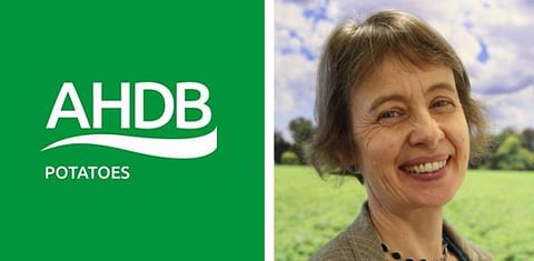 AHDB Potatoes appoints a new chair and five new board members 