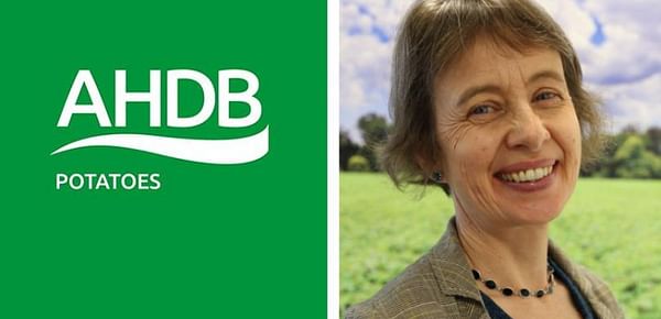 AHDB Potatoes appoints a new chair and five new board members 