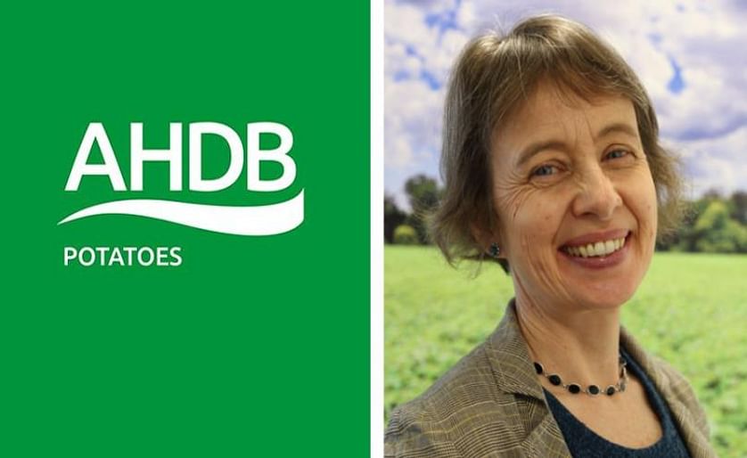 Sophie Churchill OBE appointed as Chair of AHDB Potatoes.