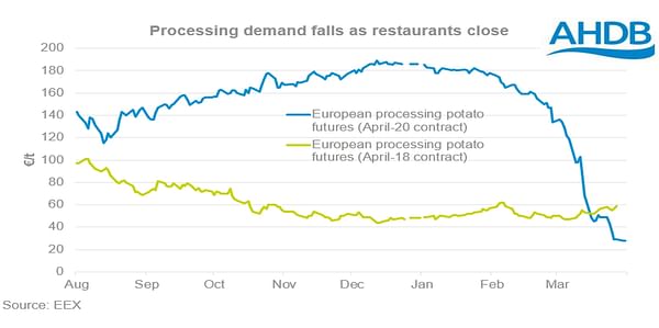 COVID-19 crashes European potato processing