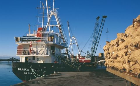 After spending 2018 opening the doors to new markets for British seed potatoes, the AHDB Exports team will focus in 2019 on strengthening relationships with existing markets. After spending 2018 opening the doors to new markets for British seed potatoes, the AHDB Exports team will focus in 2019 on strengthening relationships with existing markets.