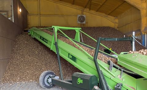 Potato Storage in the United Kingdom: regular checks vital this season for reducing risks
Potato Storage in the United Kingdom: regular checks vital this season for reducing risks