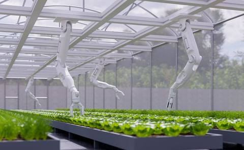 Robotic arms at work in greenhouses: transforming labor-intensive tasks with precision automation. Robotic arms at work in greenhouses: transforming labor-intensive tasks with precision automation.