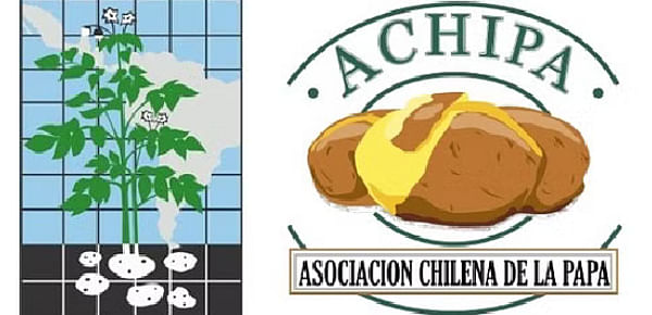 XXIII ALAP`08 Congress (VI Latinamerican seminar on potato use and commercialization)