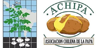 XXIII ALAP`08 Congress (VI Latinamerican seminar on potato use and commercialization)
