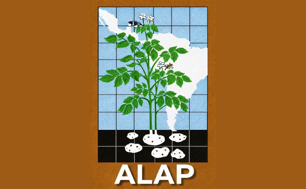 ALAP ALAP