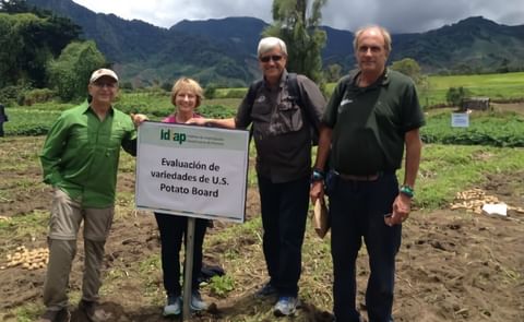 Potatoes USA sponsored a U.S. demonstration plot at the Panama-hosted Latin American Potato Congress (known as ALAP). Potatoes USA sponsored a U.S. demonstration plot at the Panama-hosted Latin American Potato Congress (known as ALAP).