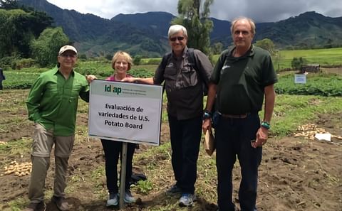 Potatoes USA sponsored a U.S. demonstration plot at the Panama-hosted Latin American Potato Congress (known as ALAP).