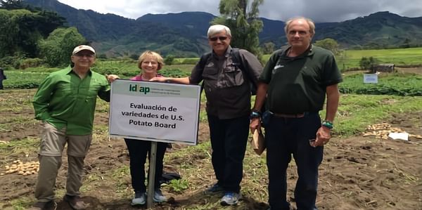 Potatoes USA highlights US seed at ALAP field day in Panama
