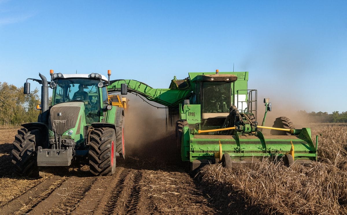 Alberta Potato Harvest (Courtesy: Potato Growers of Alberta) Alberta Potato Harvest (Courtesy: Potato Growers of Alberta)