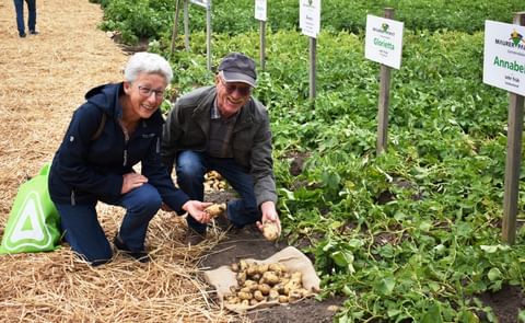 La pareja Dobler, productores de patatas de la localidad de Hatzenbühl, acuden al Día de la Patata Temprana en Dirmstein desde hace muchos años. La pareja Dobler, productores de patatas de la localidad de Hatzenbühl, acuden al Día de la Patata Temprana en Dirmstein desde hace muchos años.