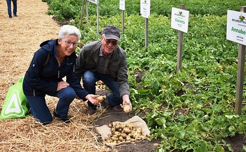 La pareja Dobler, productores de patatas de la localidad de Hatzenbühl, acuden al Día de la Patata Temprana en Dirmstein desde hace muchos años. La pareja Dobler, productores de patatas de la localidad de Hatzenbühl, acuden al Día de la Patata Temprana en Dirmstein desde hace muchos años.