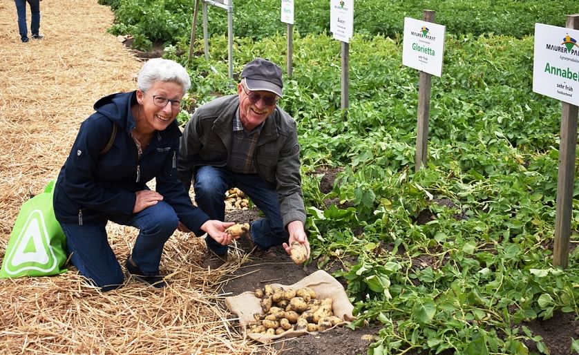 La pareja Dobler, productores de patatas de la localidad de Hatzenbühl, acuden al Día de la Patata Temprana en Dirmstein desde hace muchos años.