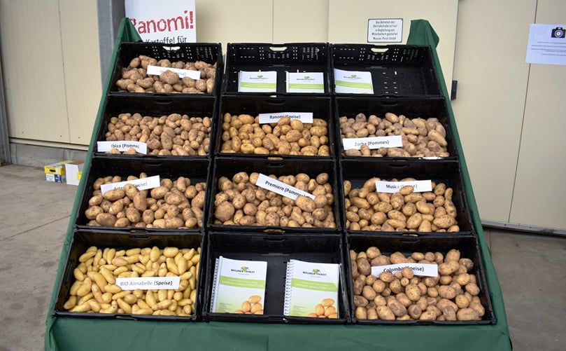 Patatas: un producto muy versátil. Patatas: un producto muy versátil.