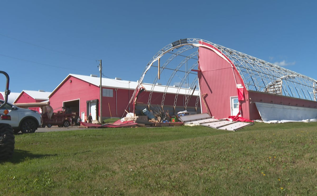 P.E.I. potato farmers worried excess moisture caused by Hurricane Fiona may damage crops PEI potato farmers worried excess moisture caused by Hurricane Fiona may damage crops