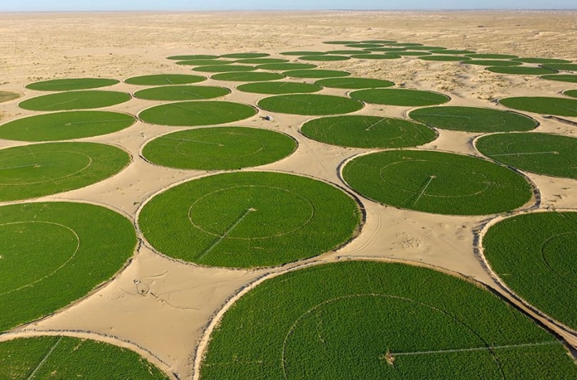 This aerial photo by George Steinmetz submitted at Italian photo festival La Gacilly in 2015 shows how potato cultivation in the region around El Oued has been developed using pivot irrigation. This aerial photo by George Steinmetz submitted at Italian photo festival La Gacilly in 2015 shows how potato cultivation in the region around El Oued has been developed using pivot irrigation.