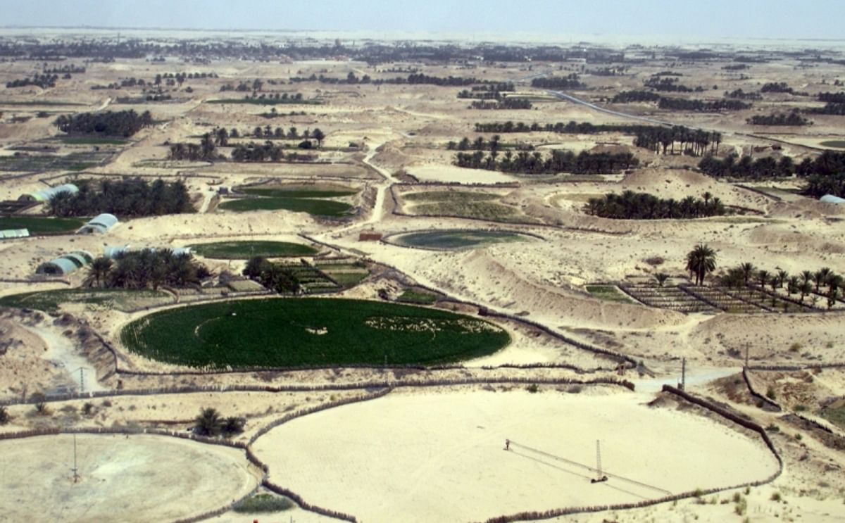 View of El Oued, Algeria (2010). In this Sahara desert town, potatoes are grown in irrigated crop circles amidst small palm oases. Meanwhile, the potato production in El Oued has expanded to 40% of the total production of Algeria - see second photo in thi