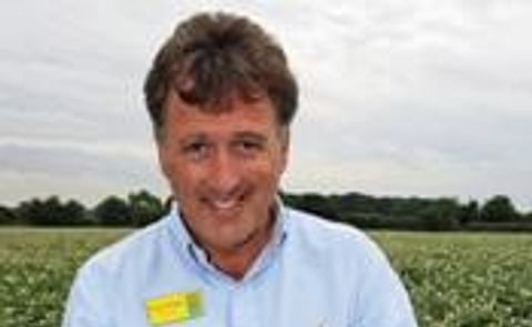 Harvest woes for UK potato growers Harvest woes for UK potato growers