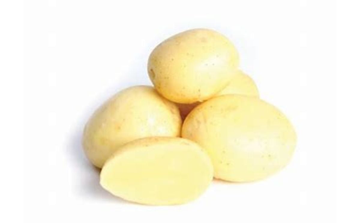 ALLORA ALLORA
