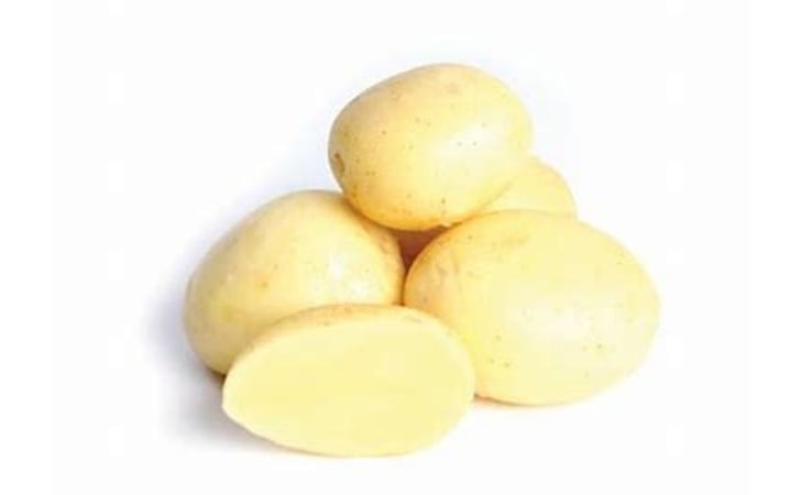ALLORA ALLORA