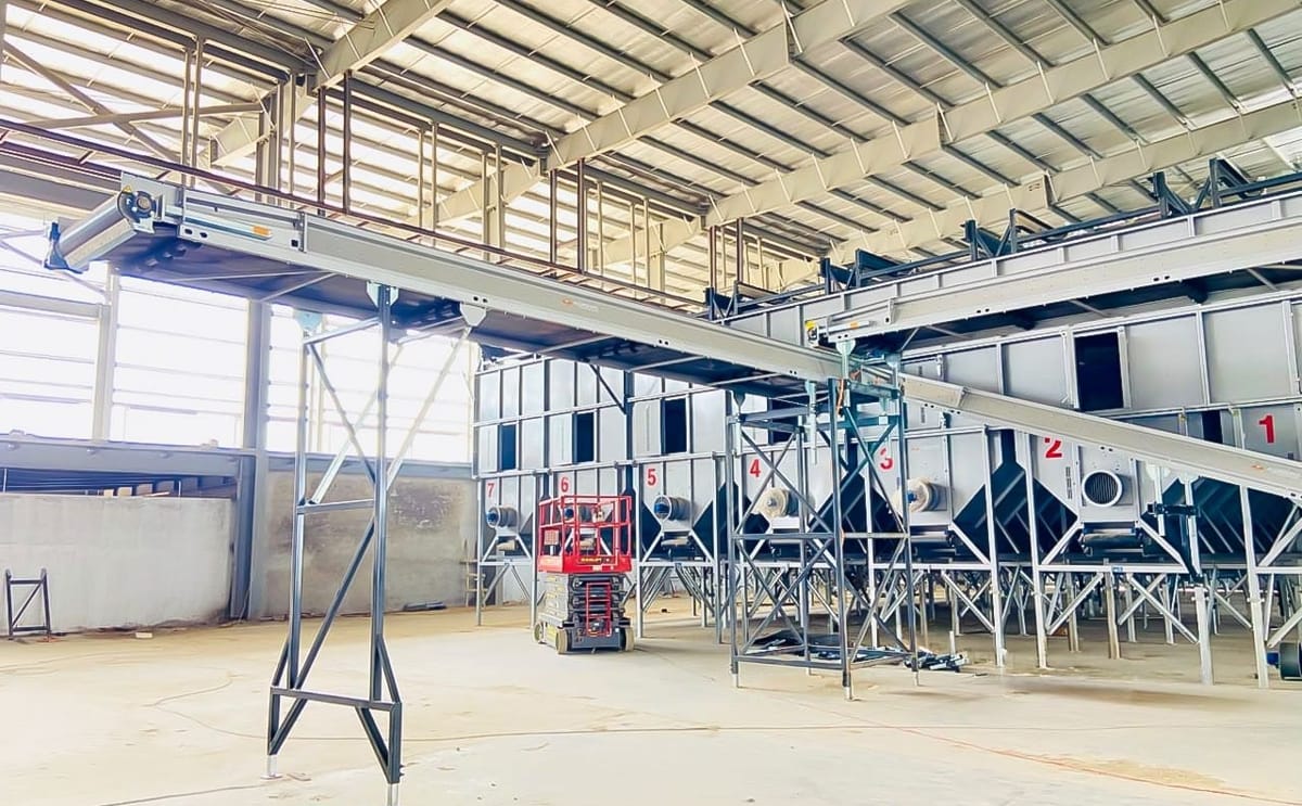 Allround Fully Automated French Fries Processing Line