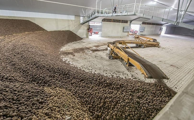 Las existencias de patata se acumulan en Europa, con precios en mínimos de EUR 15 /tonelada que ponen a los productores en una situación crítica Las existencias de patata se acumulan en Europa, con precios en mínimos de EUR 15 /tonelada que ponen a los productores en una situación crítica