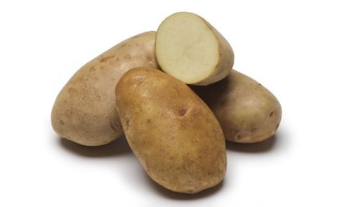 ALPINE RUSSET ALPINE RUSSET