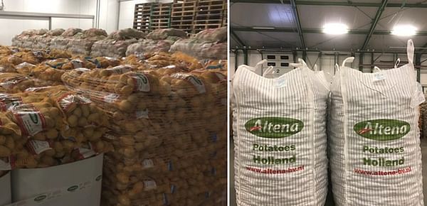 Netherlands: Despite high price there is a lot of demand for potatoes.