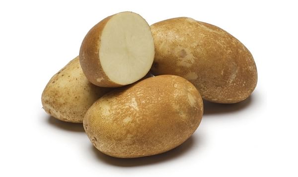 Alturas potato variety