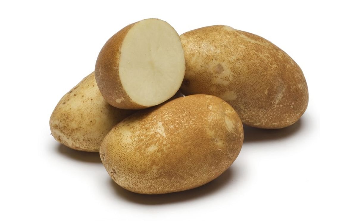 Alturas potato variety