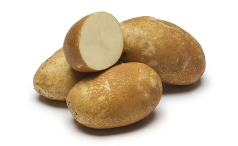 Alturas potato variety Alturas potato variety