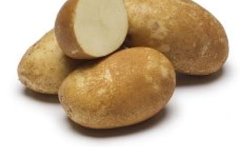 Potato Agronomist Jeff Stark receives innovation award Potato Agronomist Jeff Stark receives innovation award