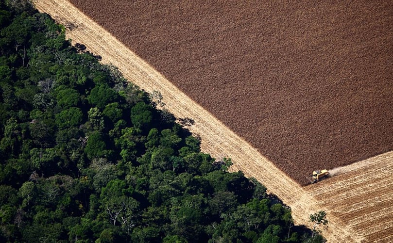 La producción de soja ha llevado a la tala de vastas áreas de la selva amazónica, destruyendo ecosistemas vitales en el proceso. (Cortesía: Consejo de Relaciones Exteriores) La producción de soja ha llevado a la tala de vastas áreas de la selva amazónica, destruyendo ecosistemas vitales en el proceso