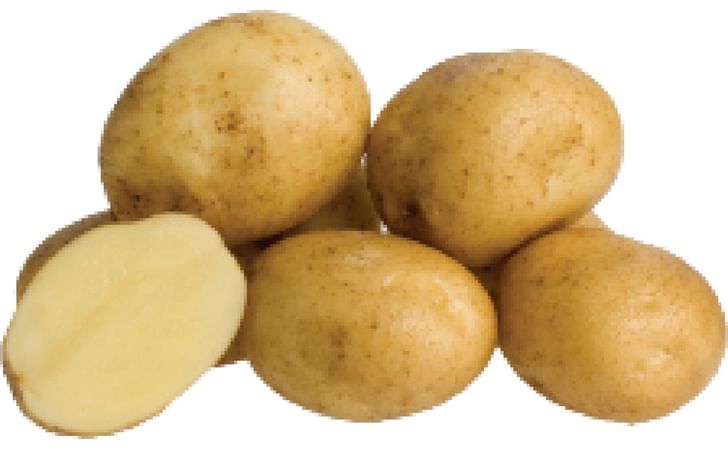 Amber Delight Amber Delight