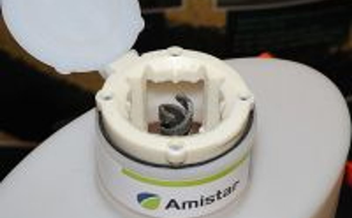 Clean solution for potato soil treatments with Amistar Link-Pak