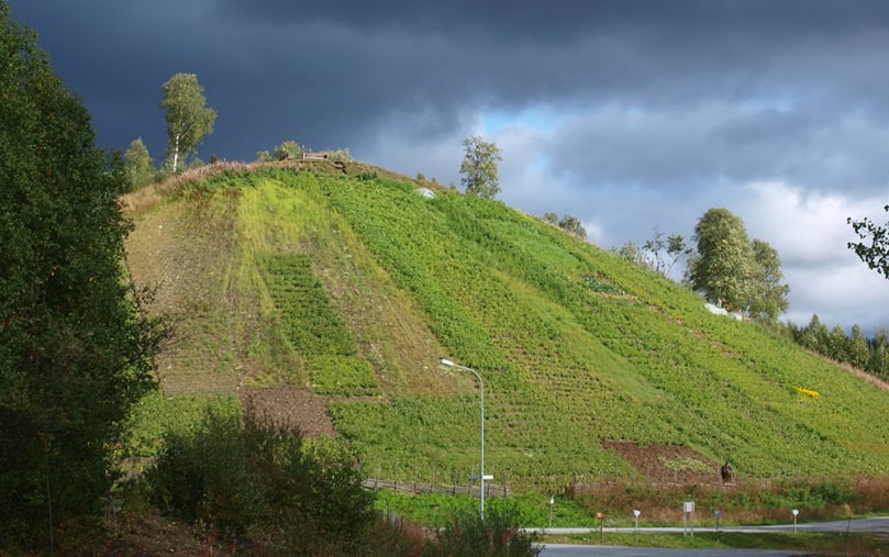 'The Potato Hill' in Ammarnäs, just outside the polar circle. The only reason potatoes can be grown this far North is because the slope faces South and and is mostly built up out of rocks, that trap the heat. 'The Potato Hill' in Ammarnäs, just outside the polar circle. The only reason potatoes can be grown this far North is because the slope faces South and and is mostly built up out of rocks, that trap the heat.