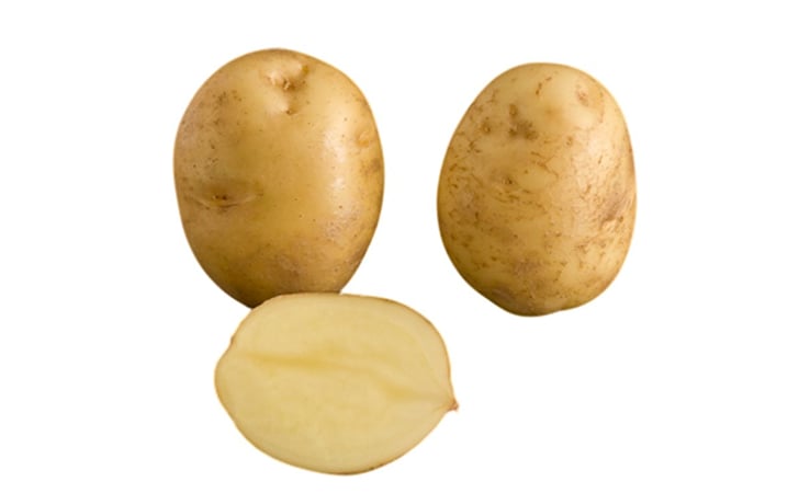 AMORA AMORA