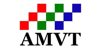 AMVT LLC