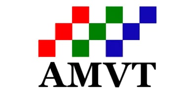 AMVT LLC AMVT LLC