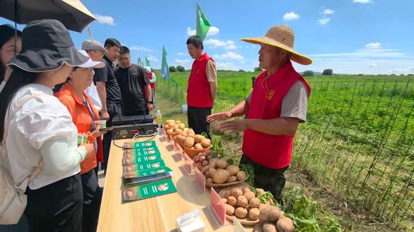 An exhibitor presented different potato end products matched to various potato varieties during the 27th China Potato Congress in Weichang, Hebei. An exhibitor presented different potato end products matched to various potato varieties during the 27th China Potato Congress in Weichang, Hebei.