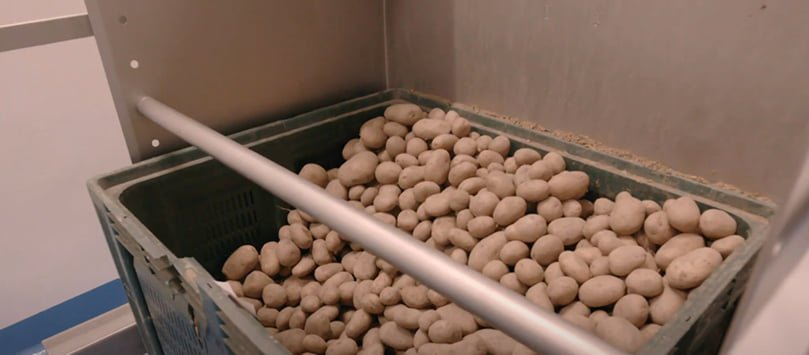 ANA BOTÍN visits the FOOD PROCESSING plant | Santander Bank ANA BOTÍN visits the FOOD PROCESSING plant | Santander Bank