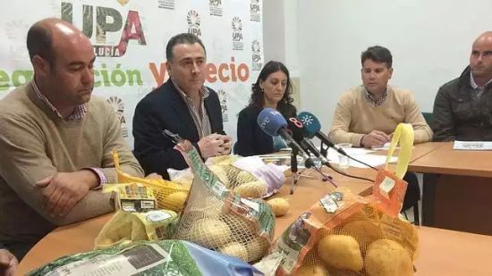 España: Hacen pasar papas francesas viejas como si fueran frescas y andaluzas