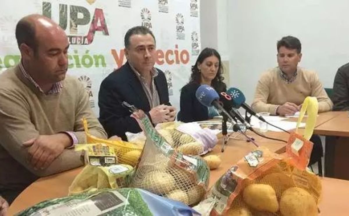 España: Hacen pasar papas francesas viejas como si fueran frescas y andaluzas España: Hacen pasar papas francesas viejas como si fueran frescas y andaluzas
