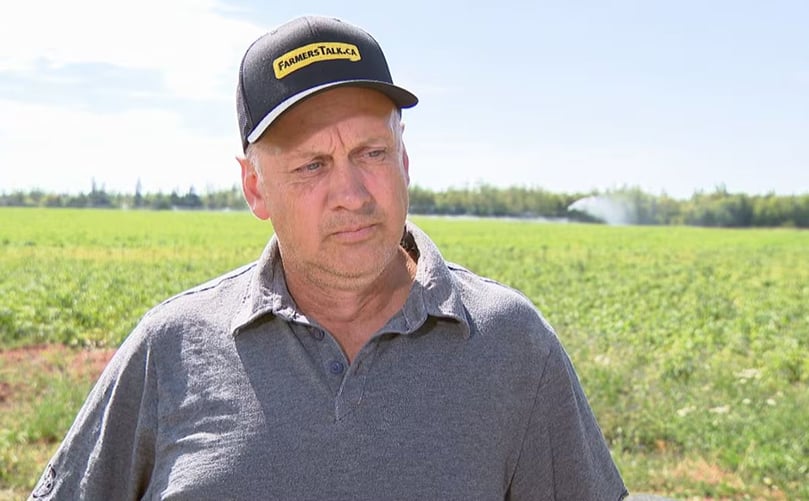 Andrew Lawless, operator of Hilltop Produce in Kinkora, is expecting a significant loss for his farm this year due to the dry conditions P.E.I. has been experiencing. Andrew Lawless, operator of Hilltop Produce in Kinkora, is expecting a significant loss for his farm this year due to the dry conditions P.E.I. has been experiencing.